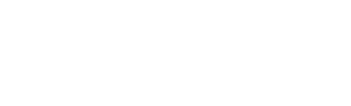 Idroneinnovations logo
