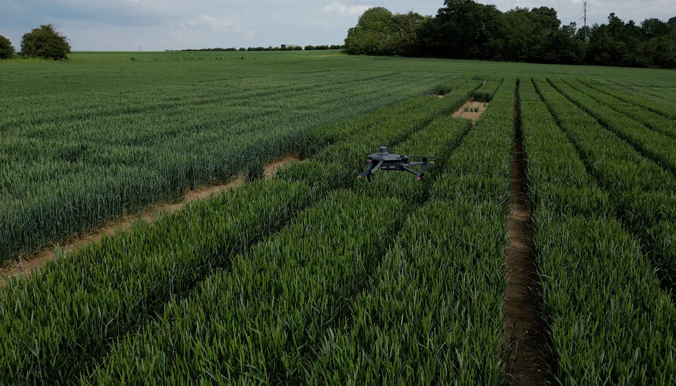 Farming UAVs: Revolutionising Agriculture with IDI and DroneAG